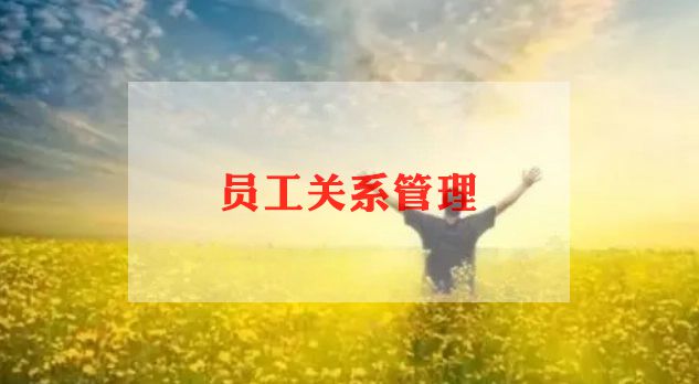 公司聘用员工合同书6篇