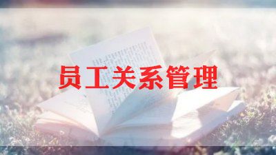 护管员工作总结5篇