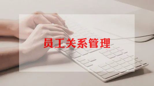 财务新员工工作总结8篇