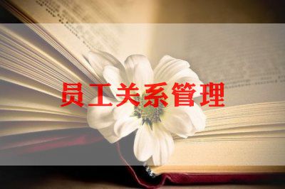 班委员工作总结7篇