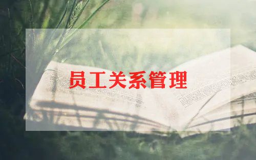 2024客房服务员工作总结8篇
