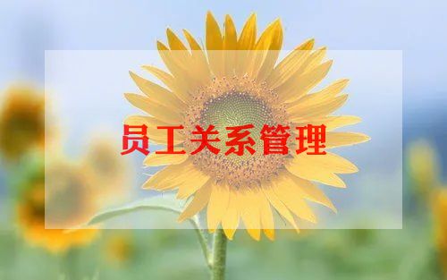 员工培训日工作总结最新7篇