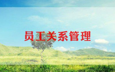 宣传委员工作总结通用5篇