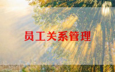 2024景区员工个人总结6篇