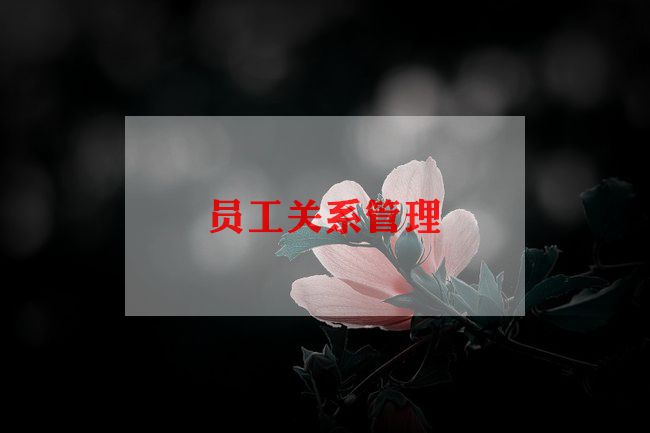 b超报告员工作总结5篇