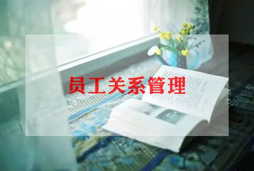 2024年监理员工作总结范文参考6篇