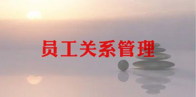 档管员工作总结7篇