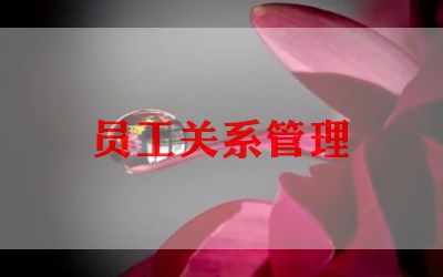 2022年联通员工述职报告6篇