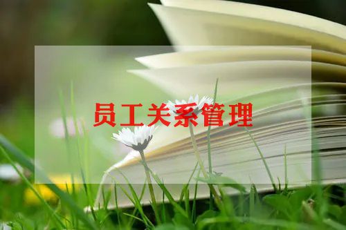 老员工辞职申请书8篇