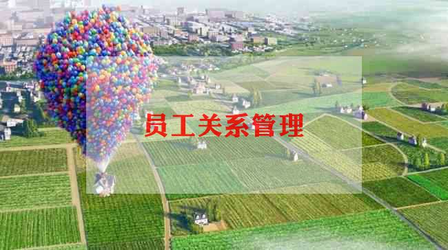 超市员工工作总结优质8篇