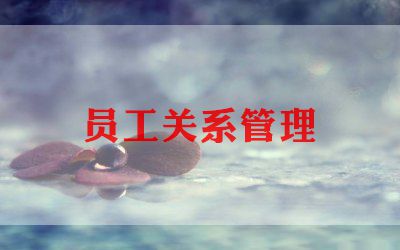 新员工员工工作总结通用5篇