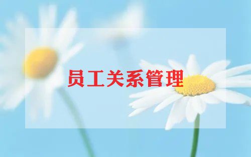 2024上学期保育员工作总结8篇