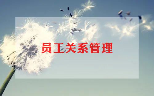 对员工的培训总结优质8篇