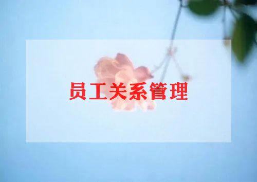 2023年员工心得体会精选5篇