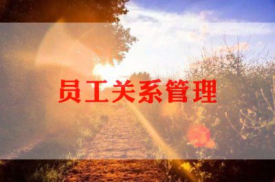 2024年年终员工个人总结模板5篇