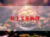 对员工的培训总结报告8篇