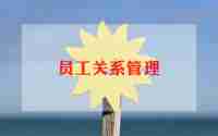 企业与员工签劳务合同6篇