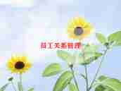 预算员工作总结模板6篇