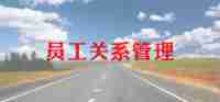 业务员工作心得体会推荐7篇