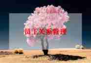 申请员工福利的申请书通用8篇