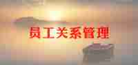 做程序员工作总结范文6篇