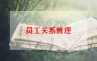 it程序员工作总结7篇