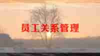员工个人总结1500字6篇
