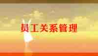 公司员工的个人总结精选8篇
