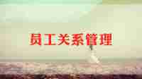 2024年新入职员工工作总结6篇