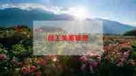 员工入职工作总结5篇