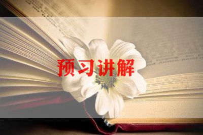 做讲解员的心得体会范文4篇