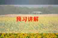 个人工作总结讲解员5篇