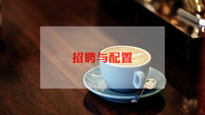 学校招聘心得6篇