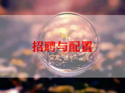 最新招聘年度工作总结 5篇