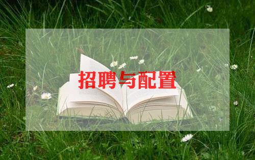 云招聘工作总结5篇