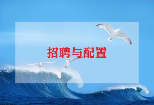 招聘专员的工作总结5篇
