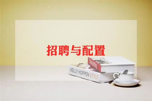 招聘岗工作总结优秀8篇