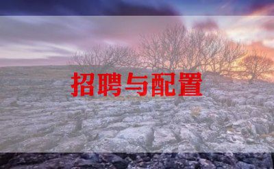 招聘工作计划最新范文5篇