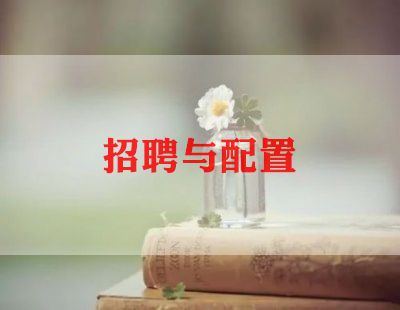 年招聘工作总结通用6篇