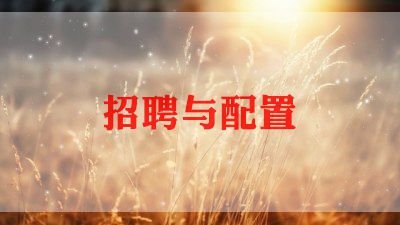 人力资源工作计划最新范文5篇