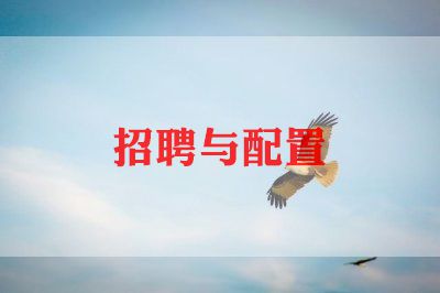 2024招聘工作计划范文5篇