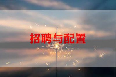 招聘专员的年度工作计划8篇