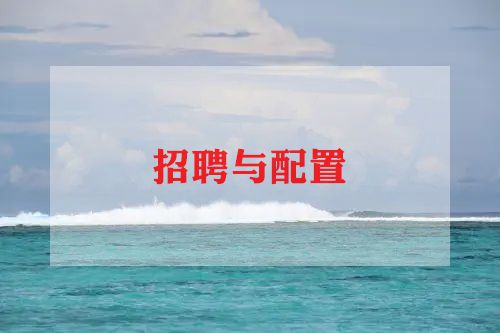 招聘与配置方案6篇