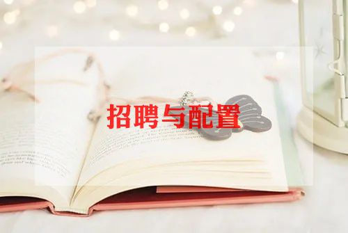 2024年招聘工作计划8篇