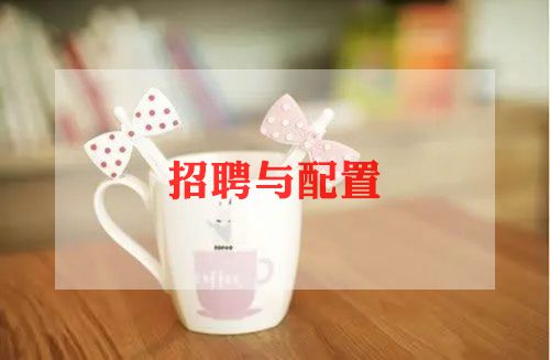精选招聘人员的工作总结范文5篇