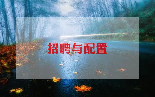 招聘工作年度工作计划5篇