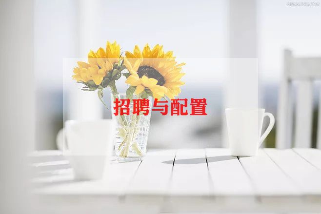 招聘工作个人总结8篇