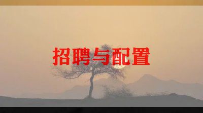招聘半年度工作总结优质6篇