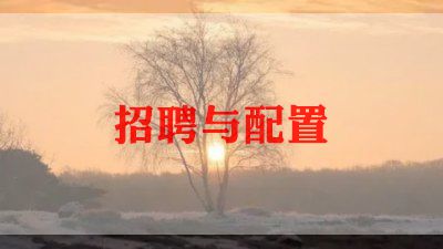 招聘专员的工作心得优秀6篇