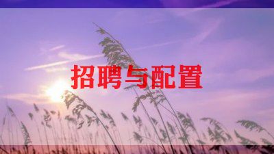 招聘工作计划工作总结5篇